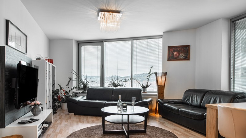 Slavic Spacious Apartment